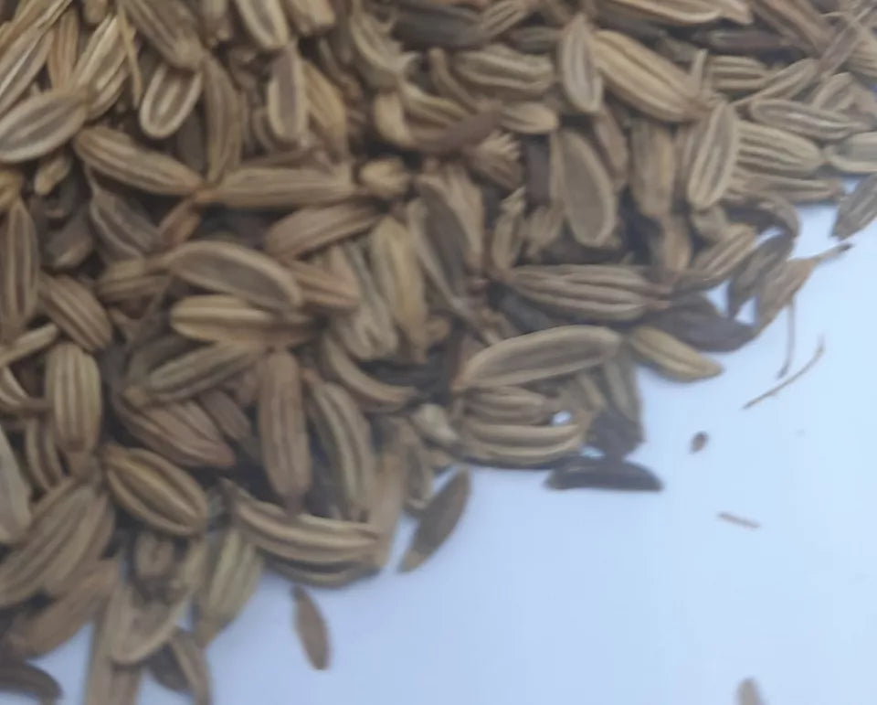 100% Fennel whole seed 🌿 ORGANIC Foeniculum vulgare loose dried herb tea ☕