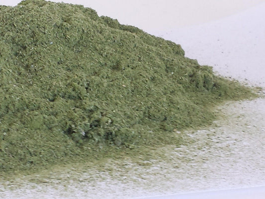 100% Olive Leaf powder 🌿 dried loose herb WILD HARVESTED Serra do Acor Mountains