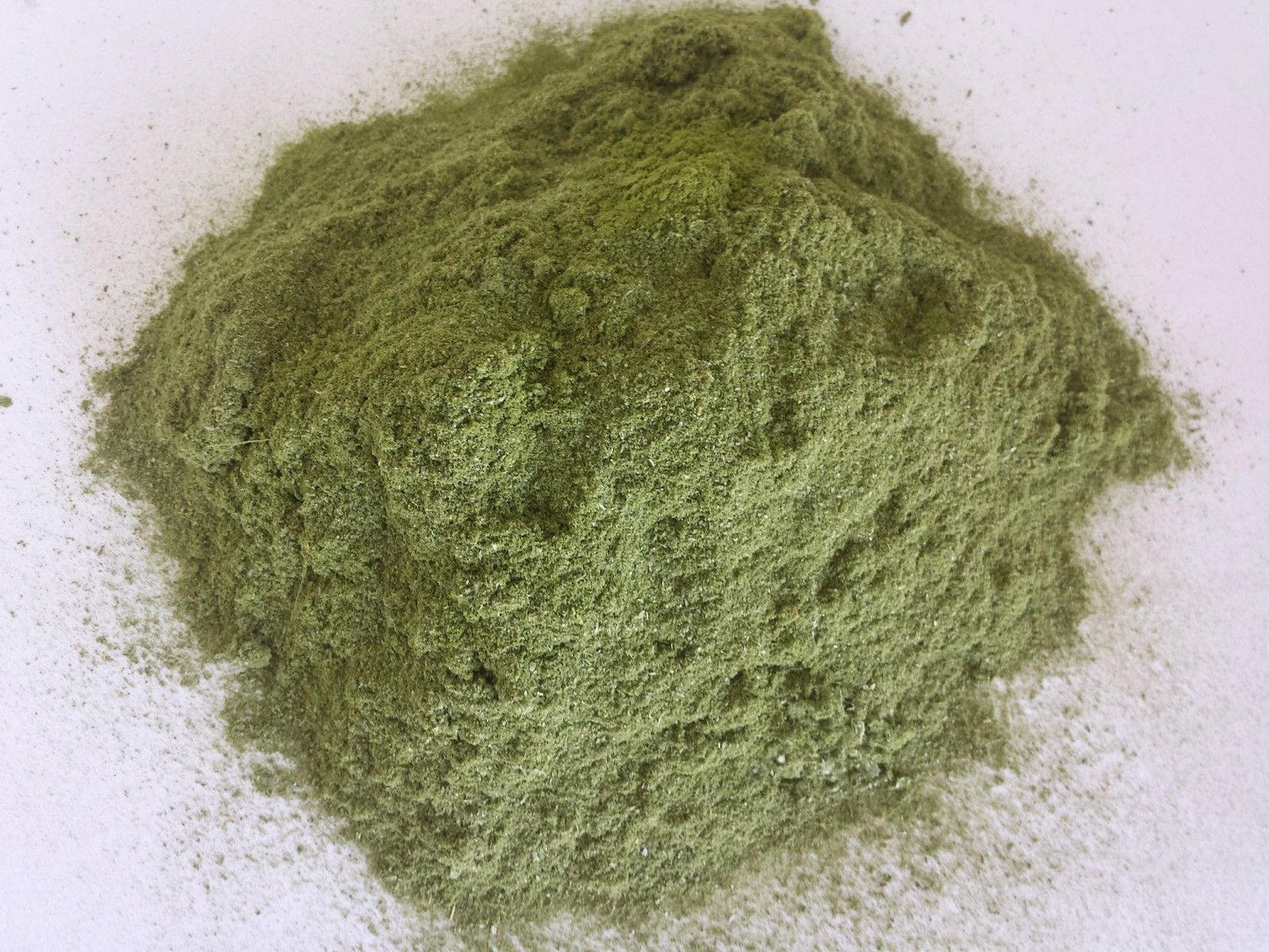 100% Olive Leaf powder 🌿 dried loose herb WILD HARVESTED Serra do Acor Mountains