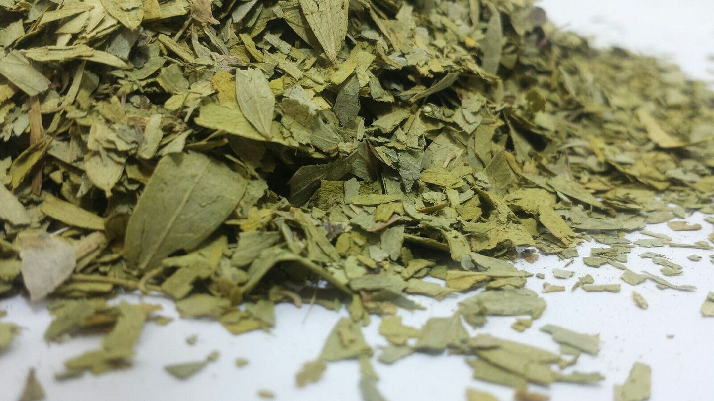 Senna leaf 100% ORGANIC 🌿Cassia angustifolia loose dried herbal herb Saltadorio herbs