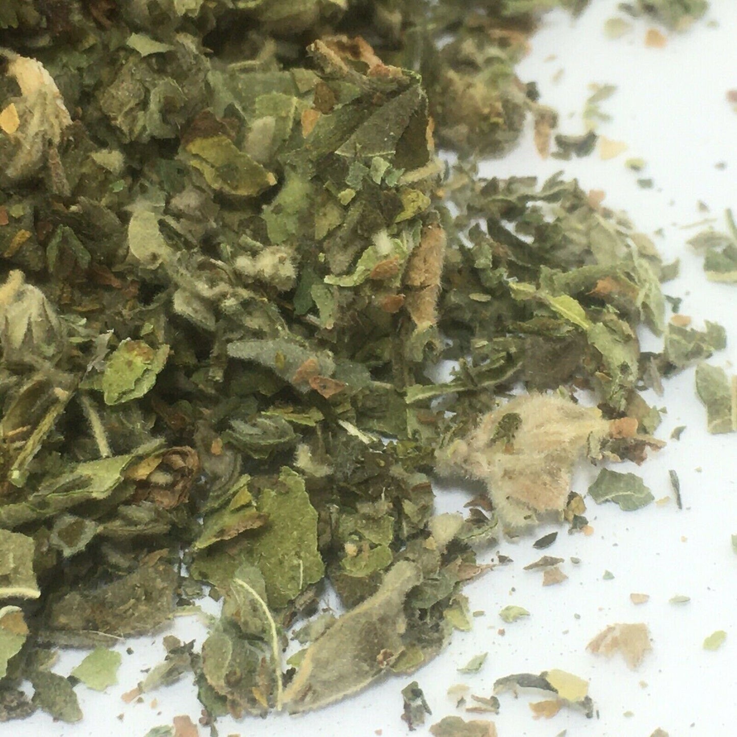 100% Marshmallow leaf πΏ ORGANIC Althea officinalis dried loose herbal Tea π΅ Saltadorio herbs