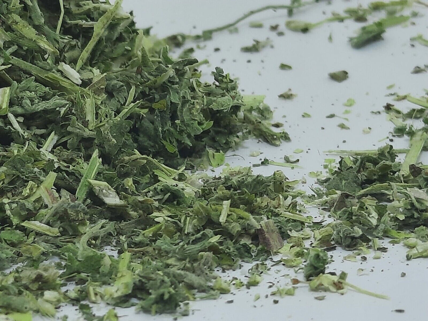 100% Catnip Herb 🌿dried loose herbal EXTRA fresh NEW HARVEST 2025 📢