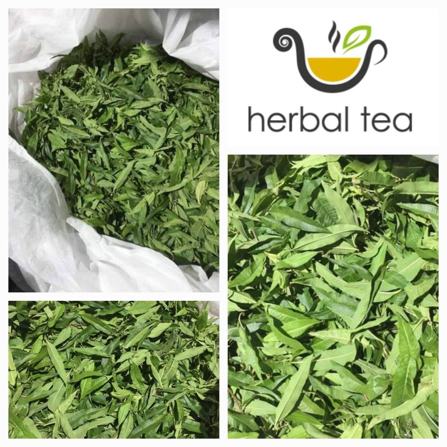 100% Lemon Verbena  **NEW HARVEST 2025 ** π’  herbal loose dried herb Tea infusion