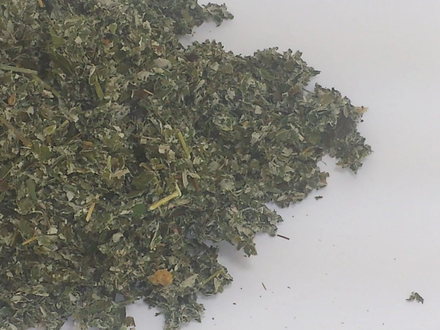 100% WILD HARVESTED  Raspberry Leaf🌿 Rubus idaeus dried herbal herb Tea 🍵 Saltadorio herbs