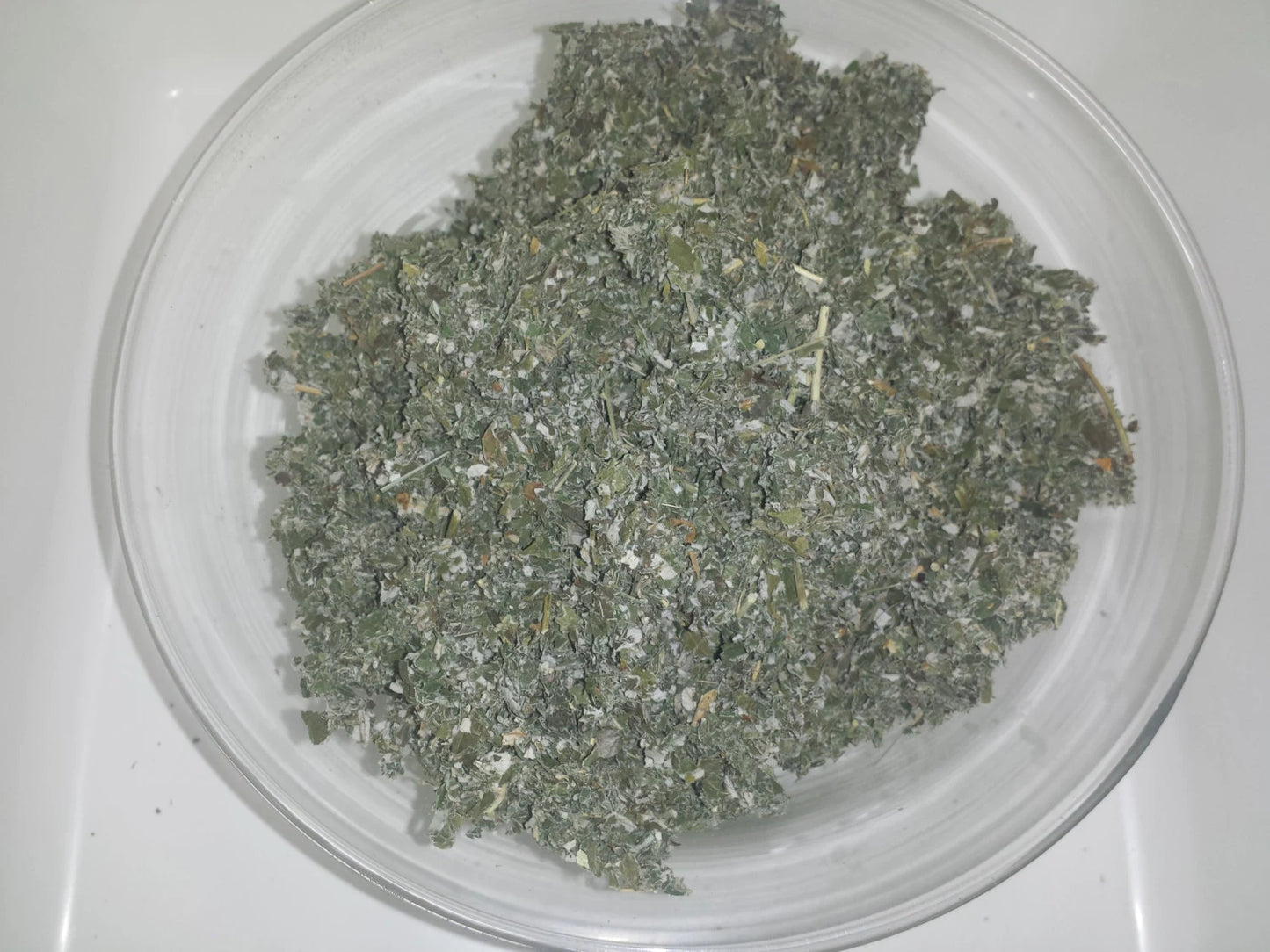 100% WILD HARVESTED  Raspberry Leaf🌿 Rubus idaeus dried herbal herb Tea 🍵 Saltadorio herbs