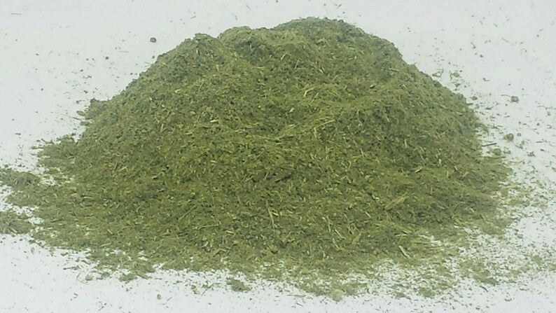 Sweet Mugwort 🌿Artemisia Annua Sweet Anni, Wormwood Sagewort dried Herb HARVESTED 📢