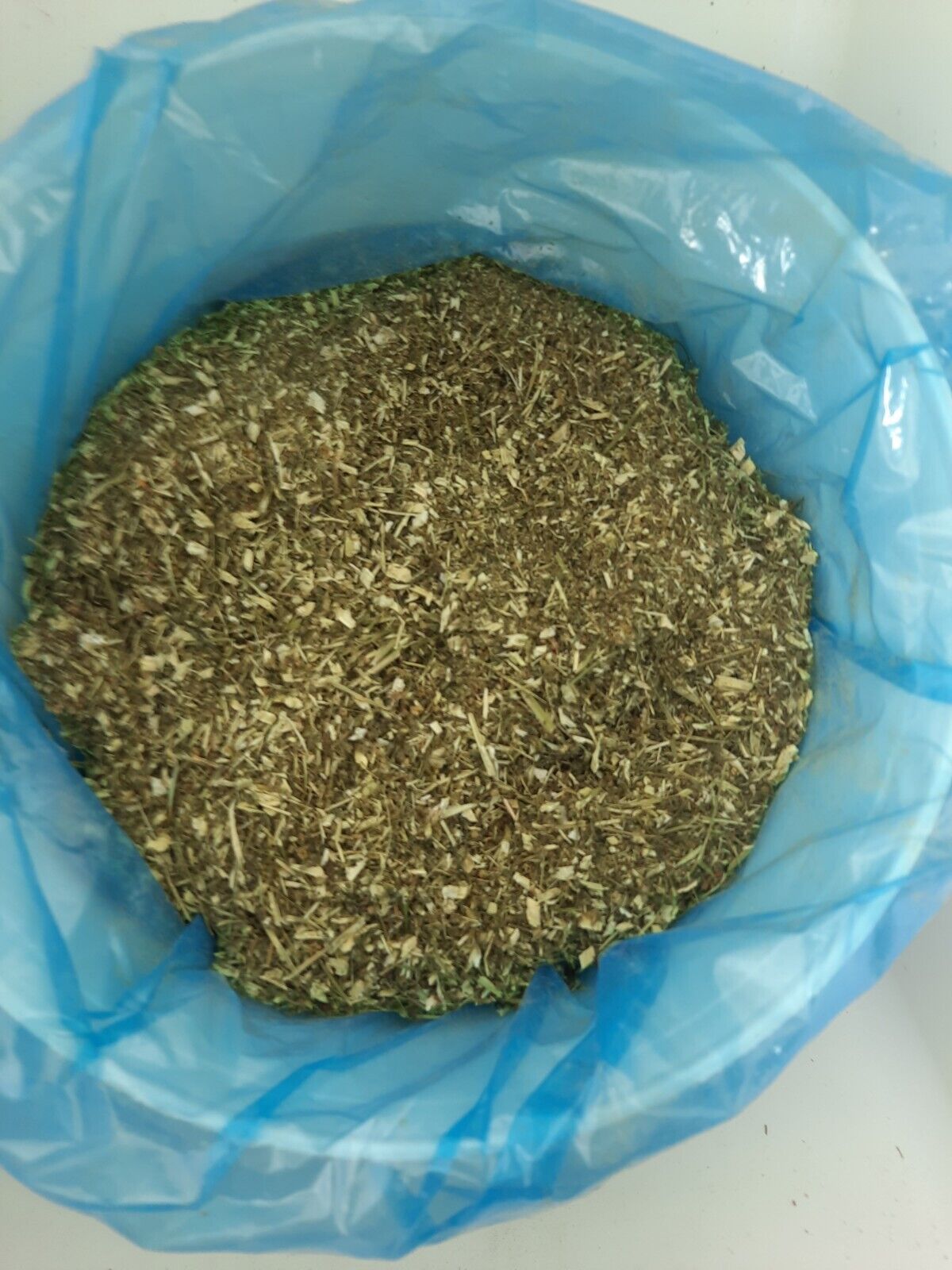 Sweet Mugwort seeds🌱 1 g BULK 📢 10,000 Qing hao,Sweet Annie,sagewort ,wormwood