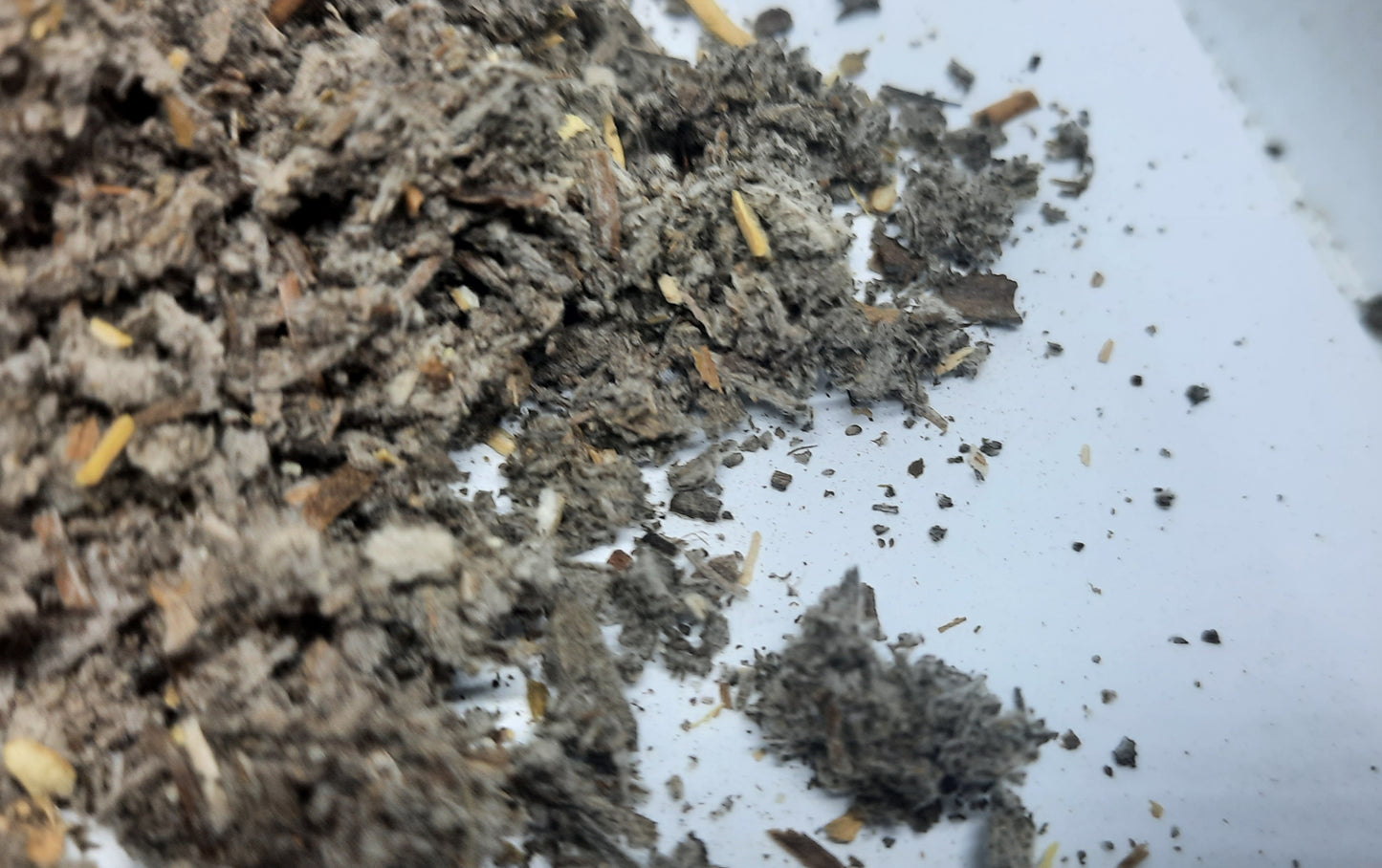 100% Sage Rubbed herb 🌿 Wild harvested loose dried herb herbal Tea ☕💊