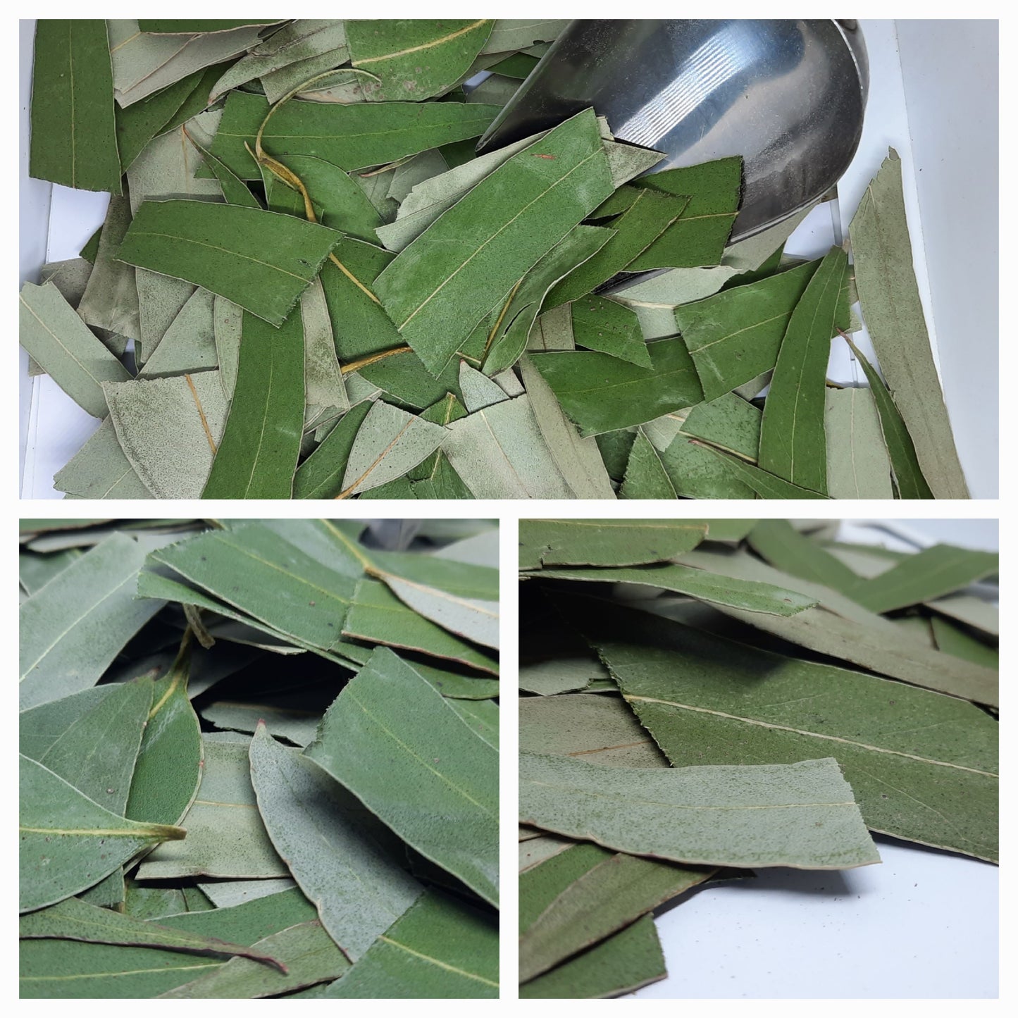 30g-Kgs New Harvest 2026 Eucalyptus Cut Leaves: Tea, Tinctures, Soap, Bath Soak (Eucalyptus Globulus)