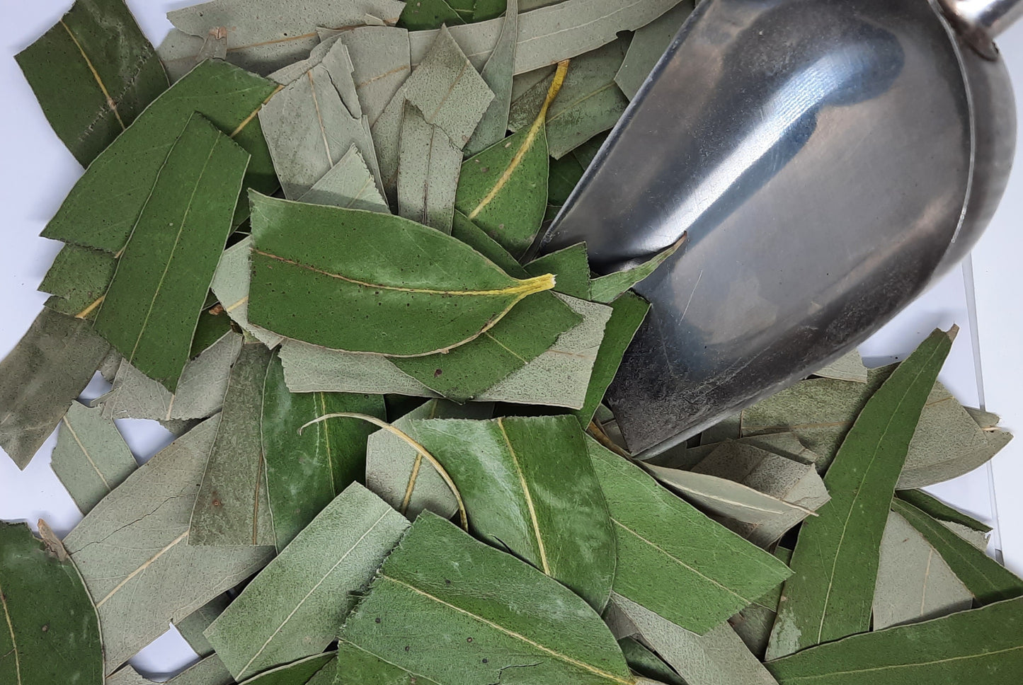 30g-Kgs New Harvest 2026 Eucalyptus Cut Leaves: Tea, Tinctures, Soap, Bath Soak (Eucalyptus Globulus)