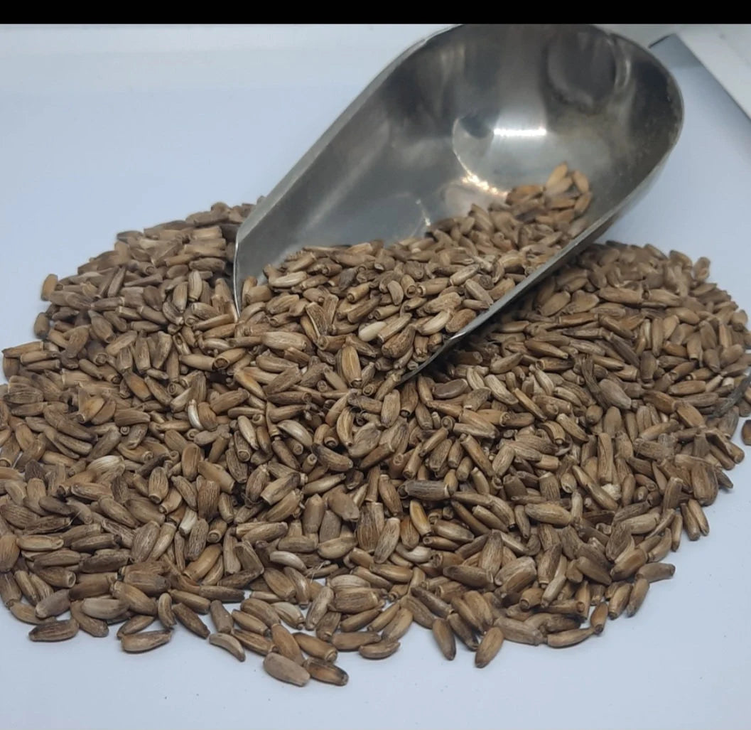 100% Milk Thistle Seed 30g-Kgs 🌱 Silybum marianum loose dried seed herbal herb Tea/Tinctures