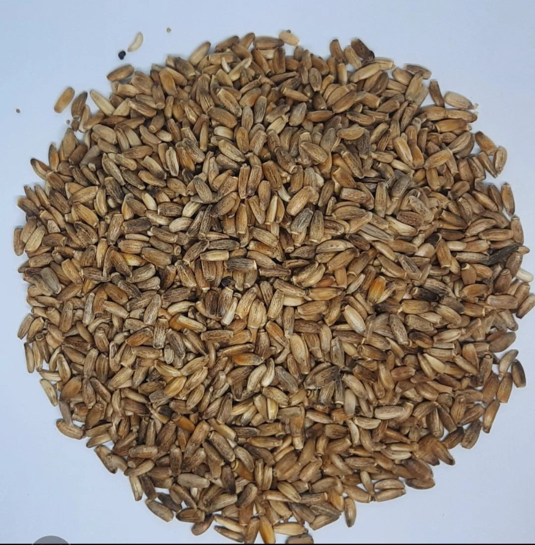 100% Milk Thistle Seed 30g-Kgs 🌱 Silybum marianum loose dried seed herbal herb Tea/Tinctures