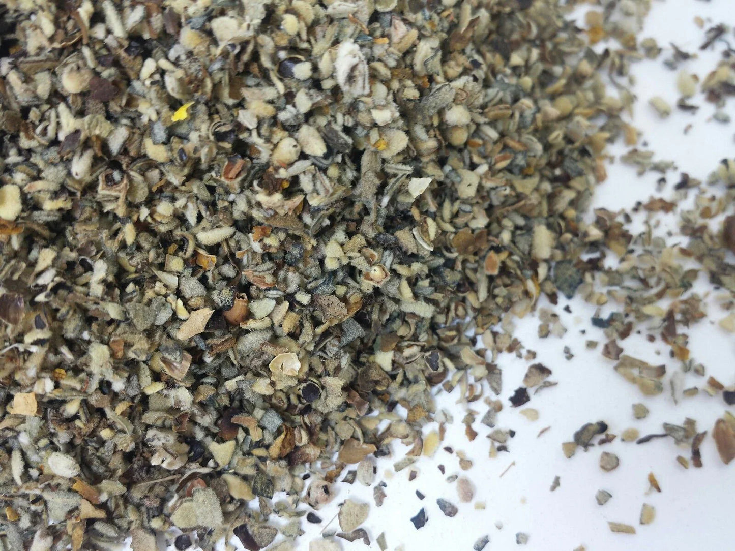 100% ORGANIC Mullein Herb 🌿 Verbascum thapsus loose dried herb herbal tea 🍵