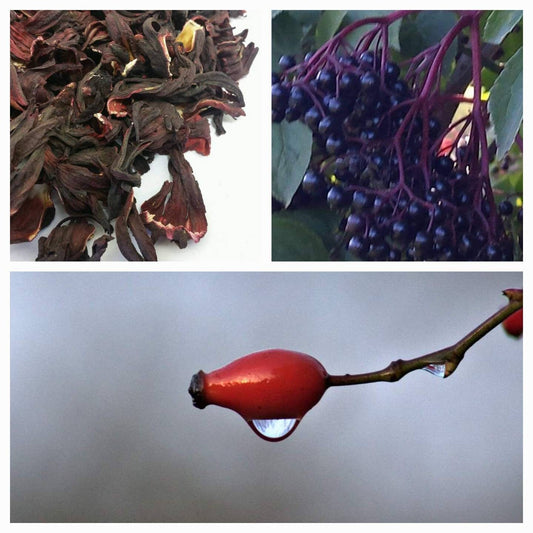 Organic tea immune system boost 💊☕🌺 ELDERBERRY, ROSEHIPS, HIBISCUS loose dried tea bag cut 🍵 herbal tea