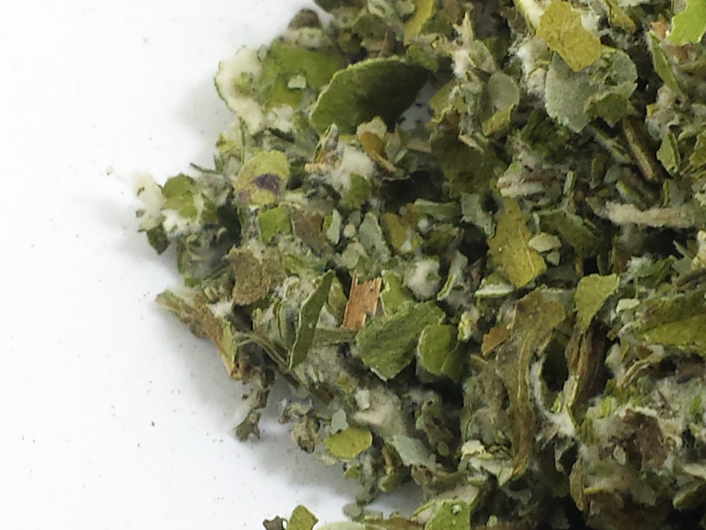 Coltsfoot Leaf 🌿 ORGANIC Tussilago farfara Dried loose Herb Herbal smoking/tea /tinctures🍵