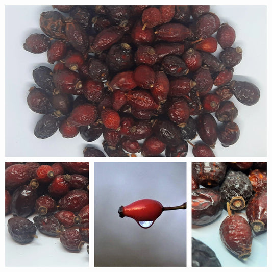 100% Rosehip whole fruit 🌹 wild harvested  Rosa canina Dried loose herb herbal tea