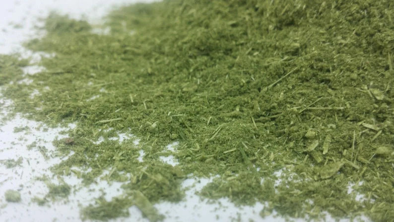 Sweet Mugwort 🌿Artemisia Annua Sweet Anni, Wormwood Sagewort dried Herb HARVESTED 📢