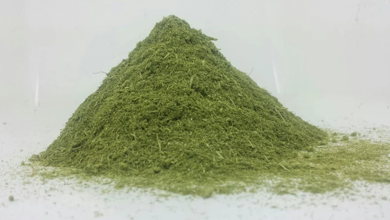 Sweet Mugwort 🌿Artemisia Annua Sweet Anni, Wormwood Sagewort dried Herb HARVESTED 📢