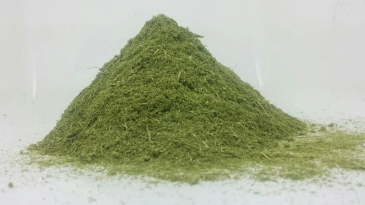 Sweet Mugwort 🌿Artemisia Annua Sweet Anni, Wormwood Sagewort dried Herb HARVESTED 📢
